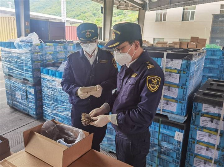 Främja utrikeshandeln för att säkerställa stabilitet och förbättra kvaliteten Ningbo Customs utfärdade 20 