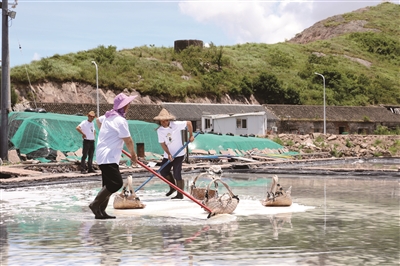 Den första i provinsen! Xiangshan Gaotang Island stad havssalttorkning icke genetiska bärande institut öppnade