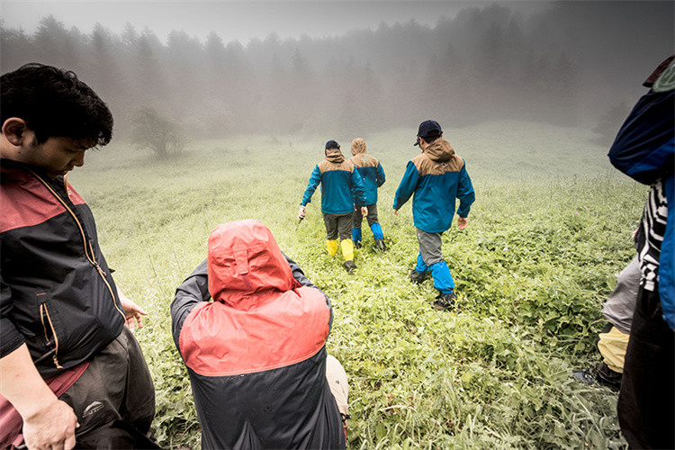 Vad är SURVIVA Wilderness Survival?